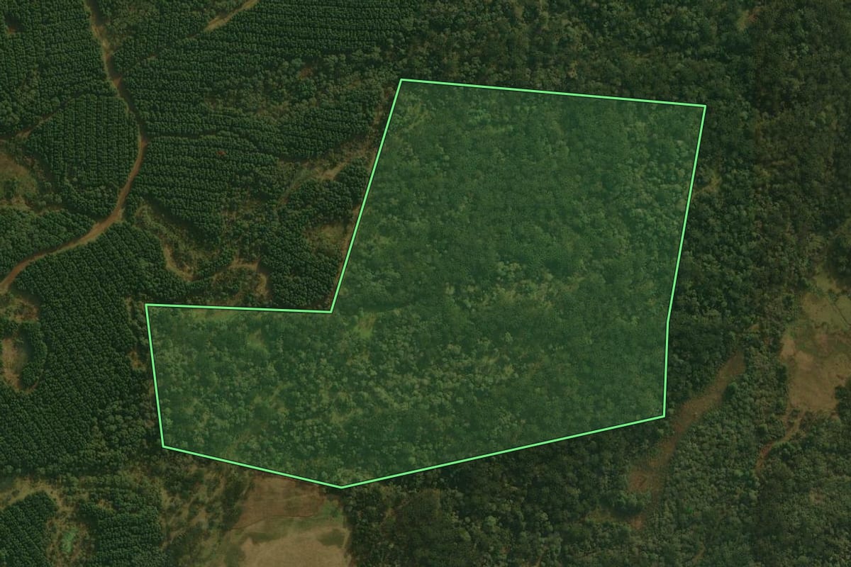 Imagem de satélite do imóvel rural em São Cristóvão do Sul (SC), com o contorno declarado no CAR desenhado por cima.