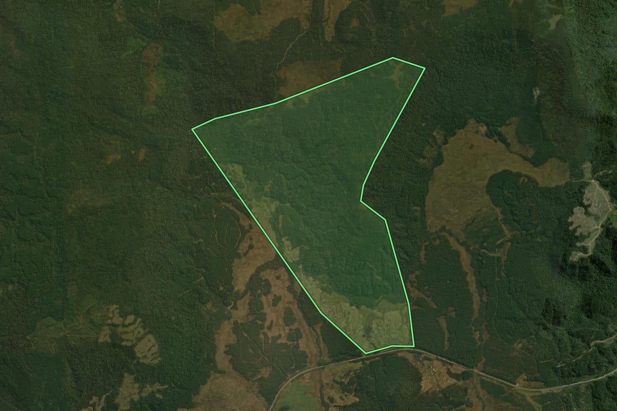 Imagem de satélite do imóvel rural em São Cristóvão do Sul (SC), com o contorno declarado no CAR desenhado por cima.