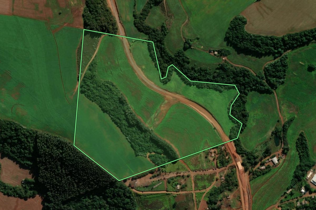 Imagem de satélite do imóvel rural em São Domingos (SC), com o contorno declarado no CAR desenhado por cima.