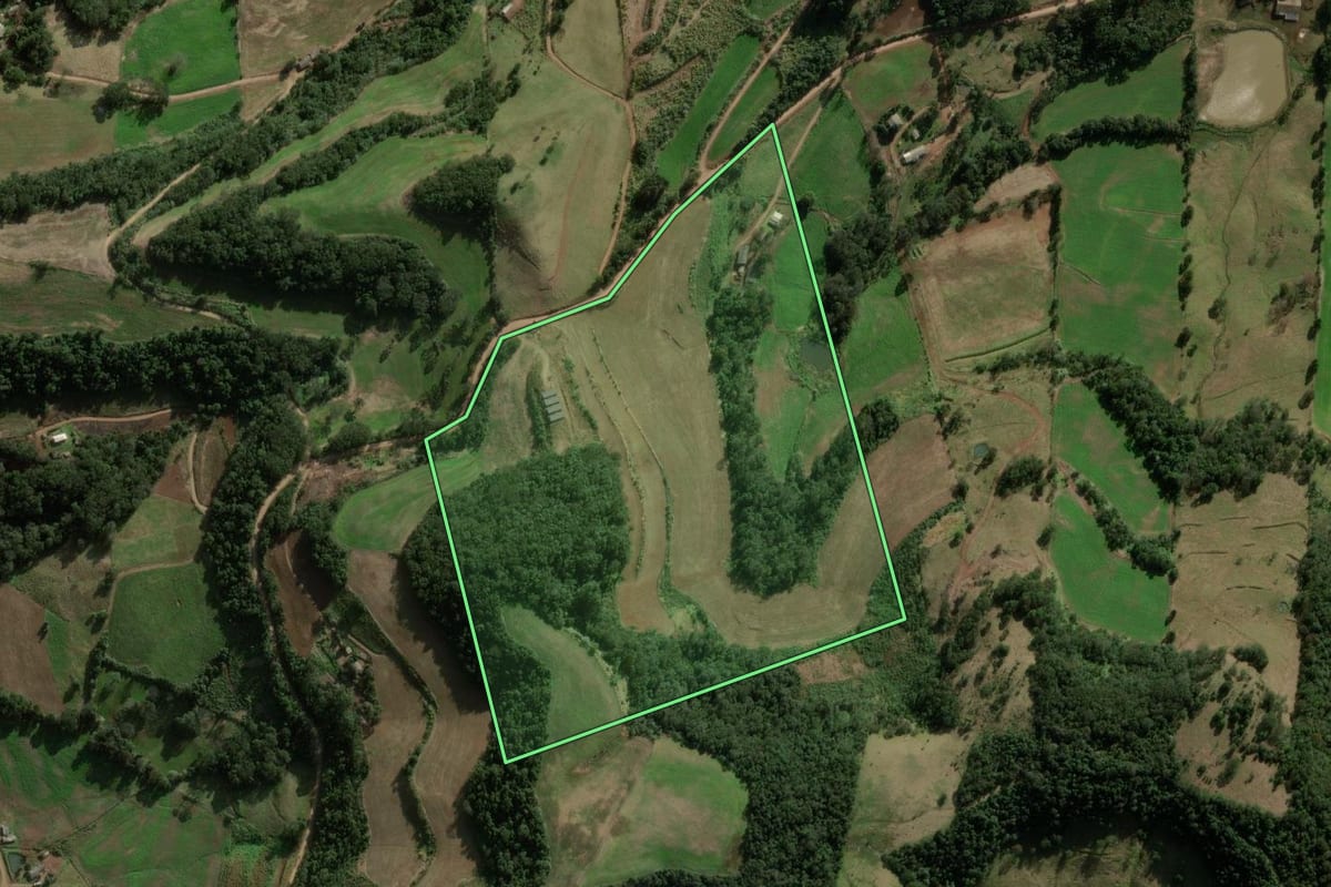Imagem de satélite do imóvel rural em São Domingos (SC), com o contorno declarado no CAR desenhado por cima.