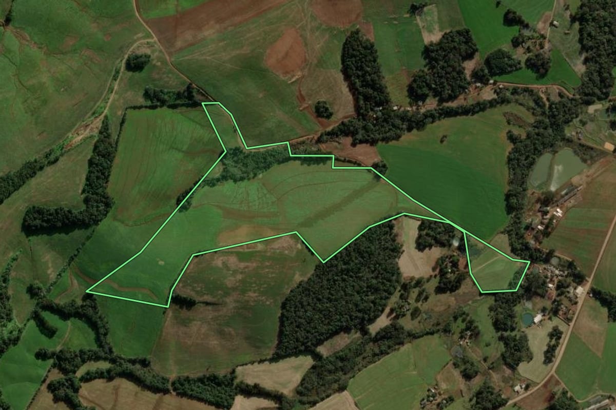 Imagem de satélite do imóvel rural em São Domingos (SC), com o contorno declarado no CAR desenhado por cima.