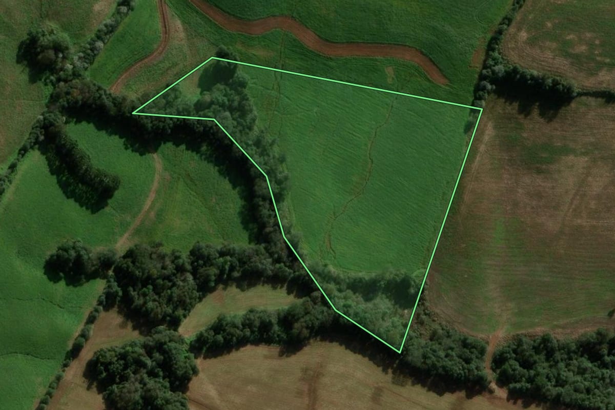 Imagem de satélite do imóvel rural em São Domingos (SC), com o contorno declarado no CAR desenhado por cima.