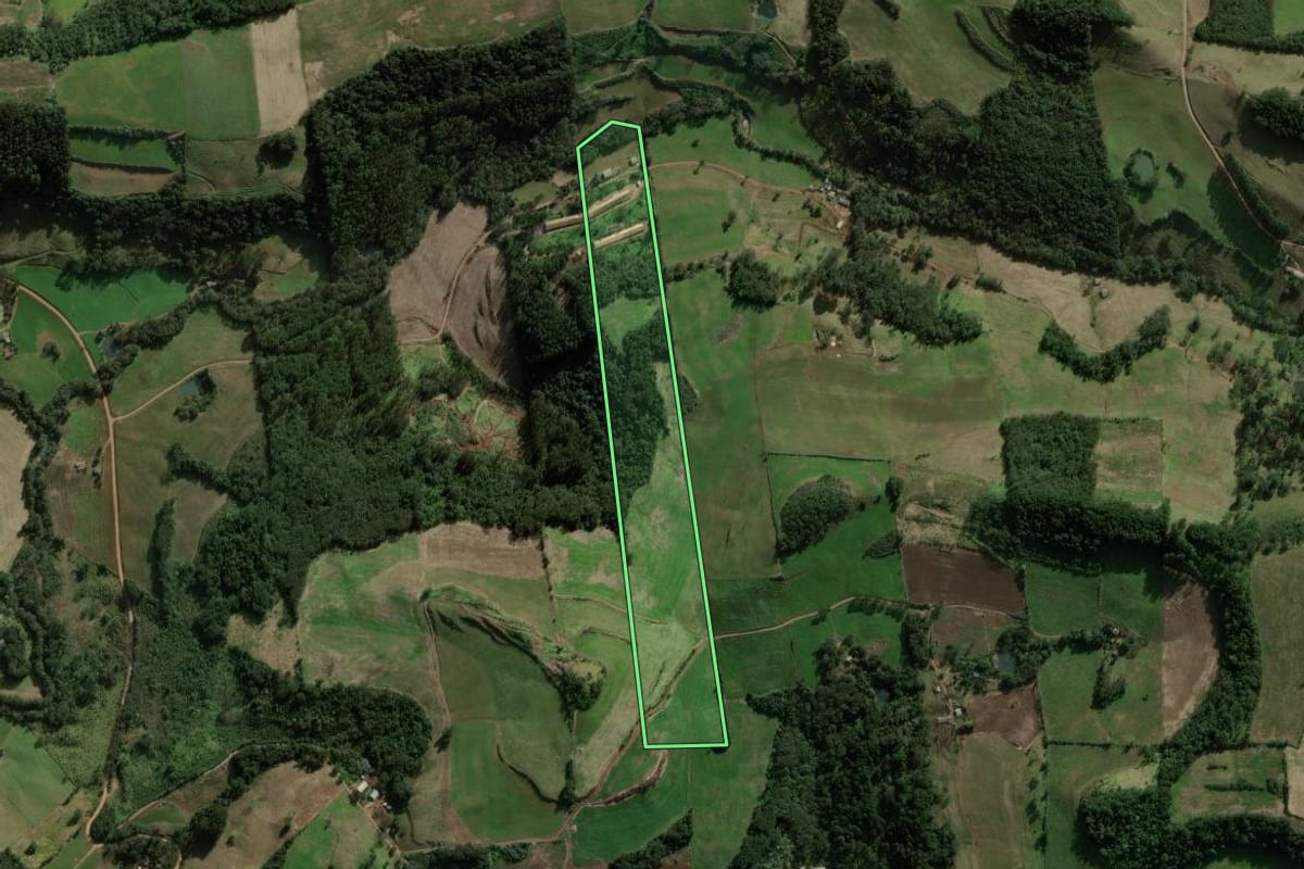 Imagem de satélite do imóvel rural em São Domingos (SC), com o contorno declarado no CAR desenhado por cima.