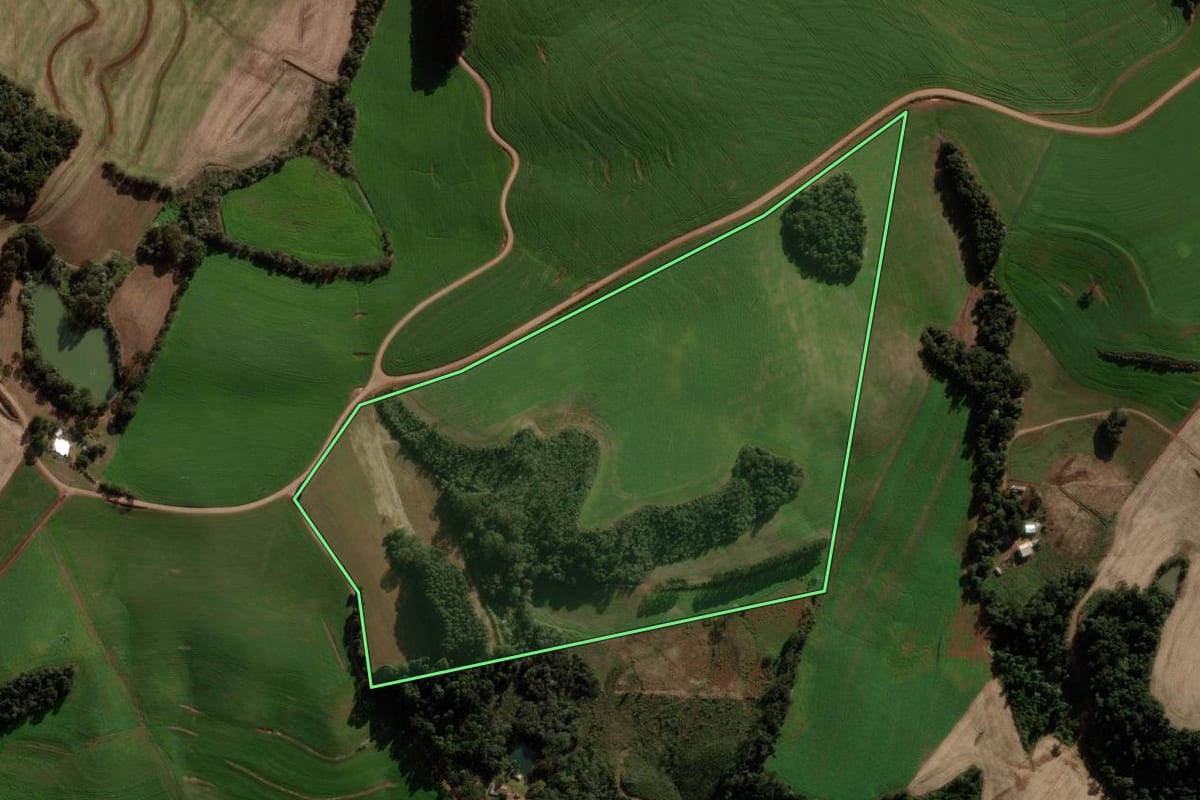 Imagem de satélite do imóvel rural em São Domingos (SC), com o contorno declarado no CAR desenhado por cima.