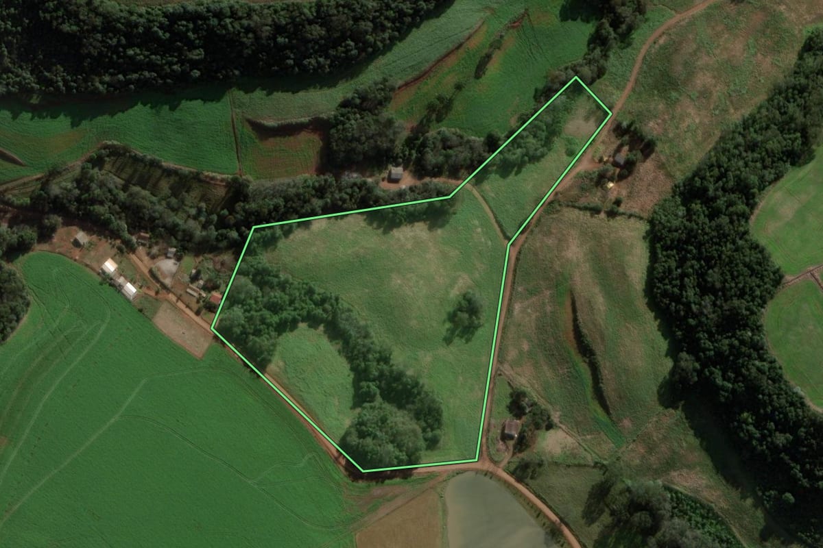 Imagem de satélite do imóvel rural em São Domingos (SC), com o contorno declarado no CAR desenhado por cima.
