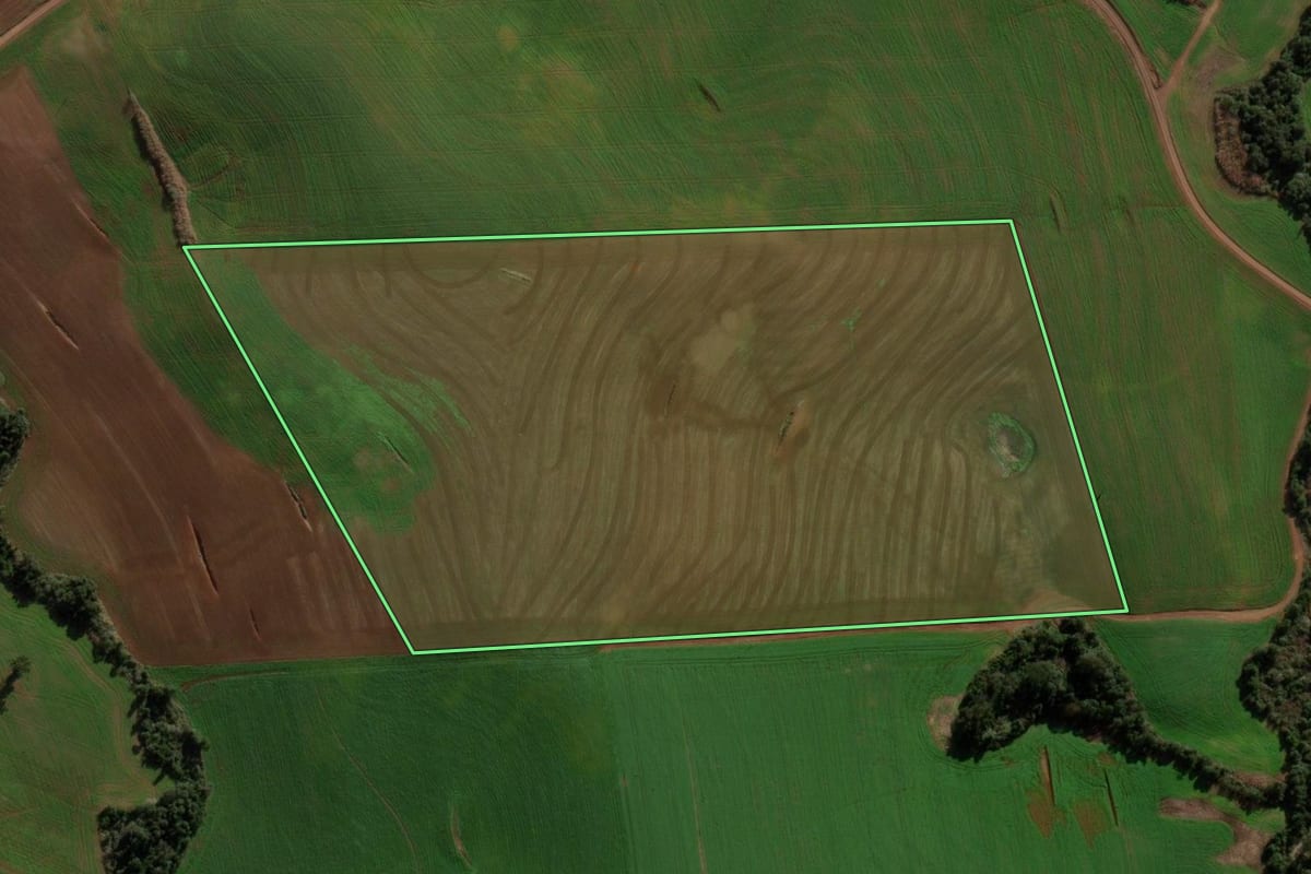 Imagem de satélite do imóvel rural em São Domingos (SC), com o contorno declarado no CAR desenhado por cima.