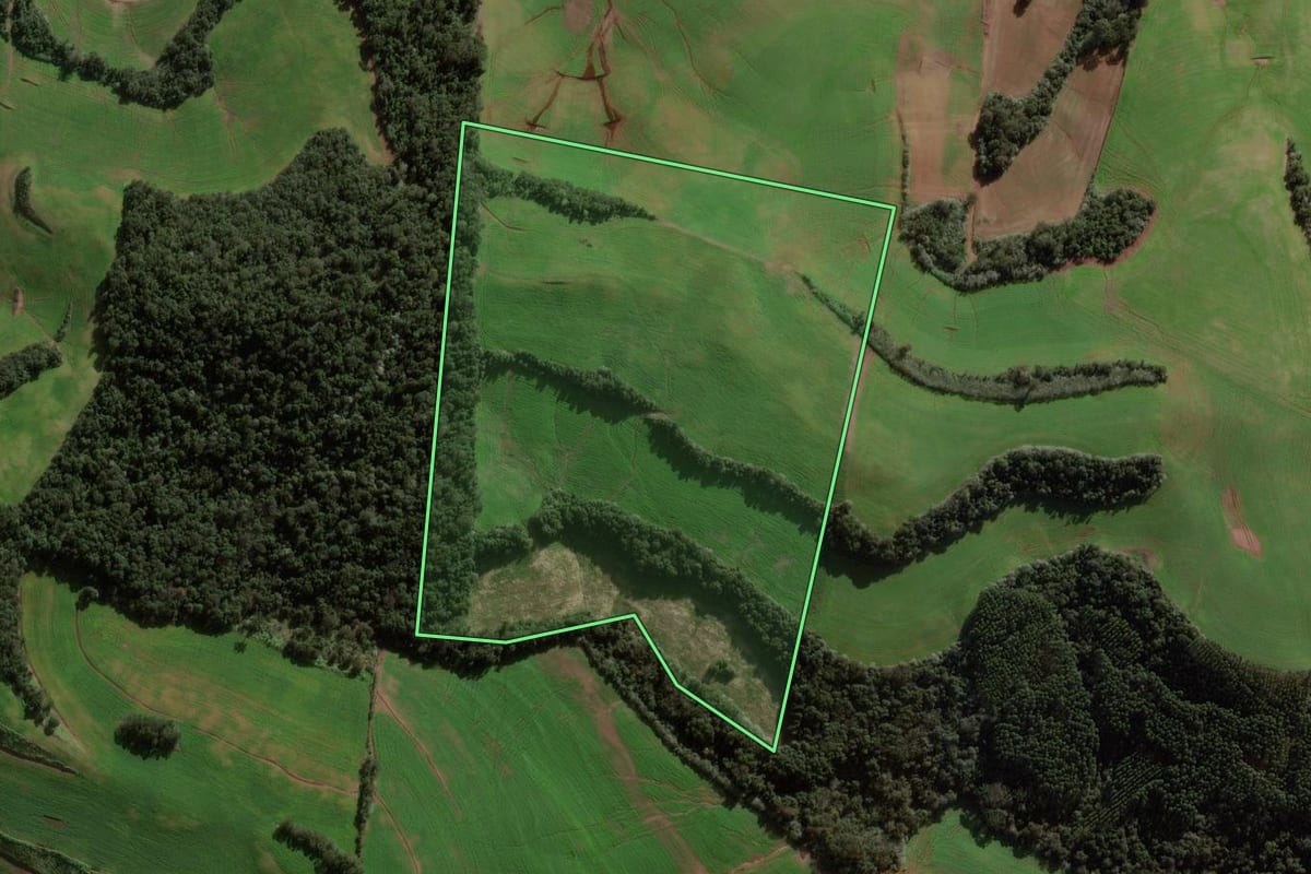 Imagem de satélite do imóvel rural em São Domingos (SC), com o contorno declarado no CAR desenhado por cima.