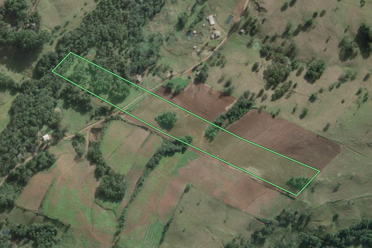 Imagem de satélite do imóvel rural em São Domingos (SC), com o contorno declarado no CAR desenhado por cima.