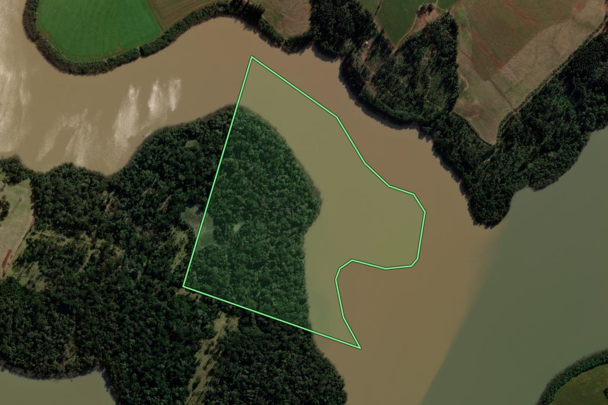 Imagem de satélite do imóvel rural em São Domingos (SC), com o contorno declarado no CAR desenhado por cima.