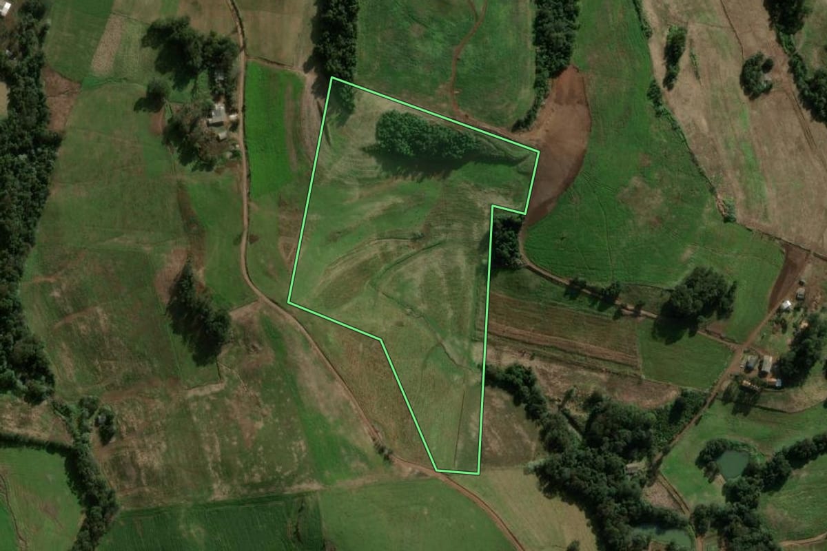Imagem de satélite do imóvel rural em São Domingos (SC), com o contorno declarado no CAR desenhado por cima.