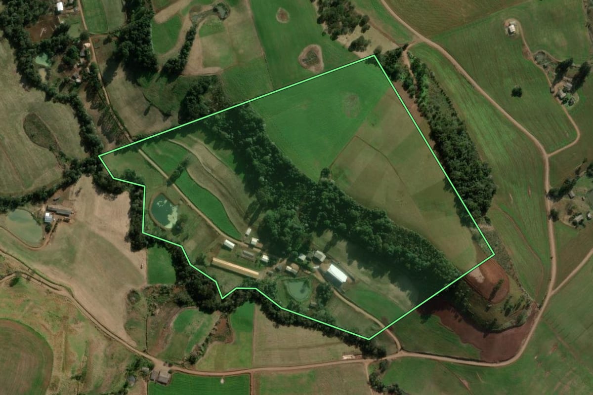 Imagem de satélite do imóvel rural em São Domingos (SC), com o contorno declarado no CAR desenhado por cima.