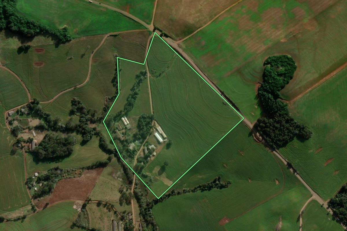 Imagem de satélite do imóvel rural em São Domingos (SC), com o contorno declarado no CAR desenhado por cima.