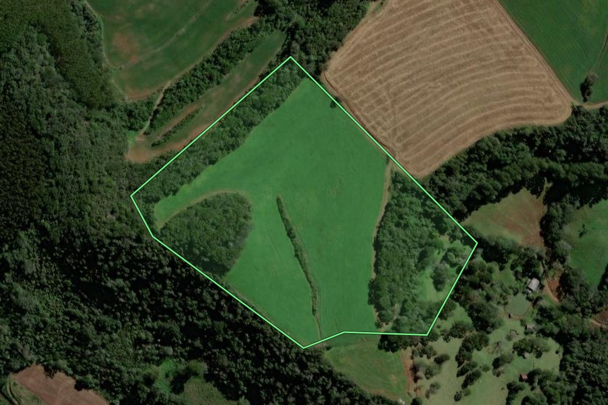 Imagem de satélite do imóvel rural em São Domingos (SC), com o contorno declarado no CAR desenhado por cima.