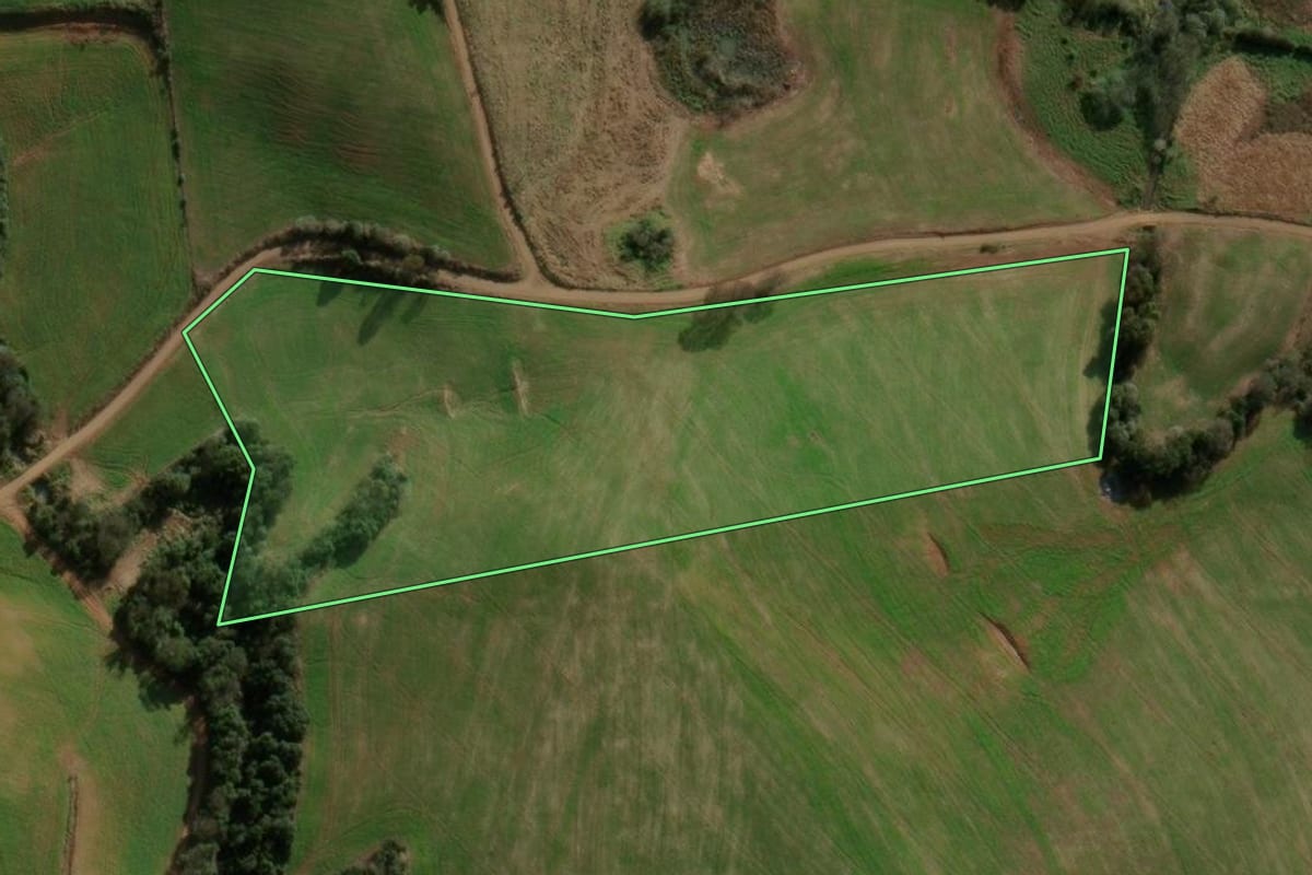 Imagem de satélite do imóvel rural em São Domingos (SC), com o contorno declarado no CAR desenhado por cima.
