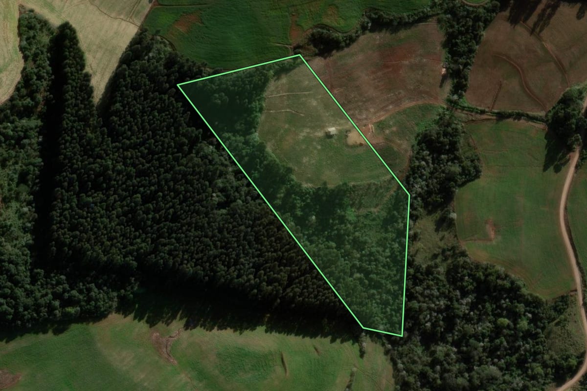 Imagem de satélite do imóvel rural em São Domingos (SC), com o contorno declarado no CAR desenhado por cima.