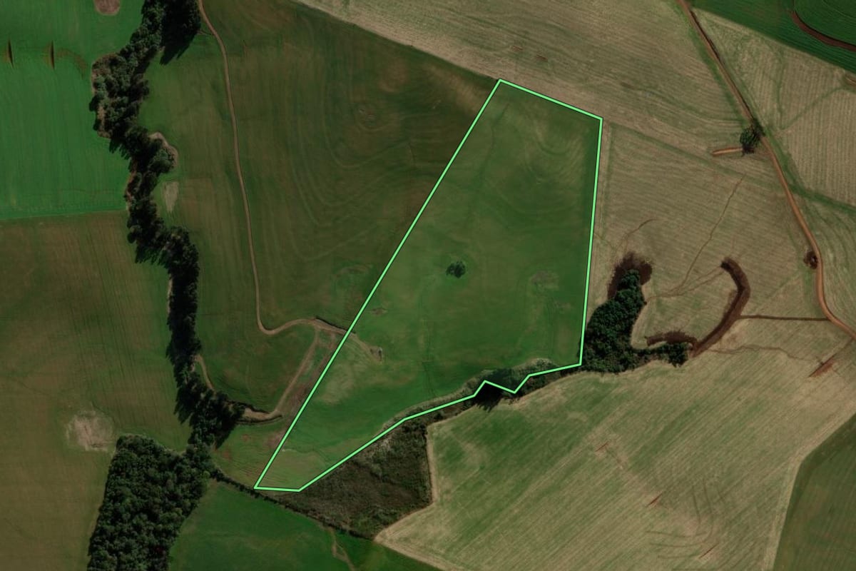 Imagem de satélite do imóvel rural em São Domingos (SC), com o contorno declarado no CAR desenhado por cima.