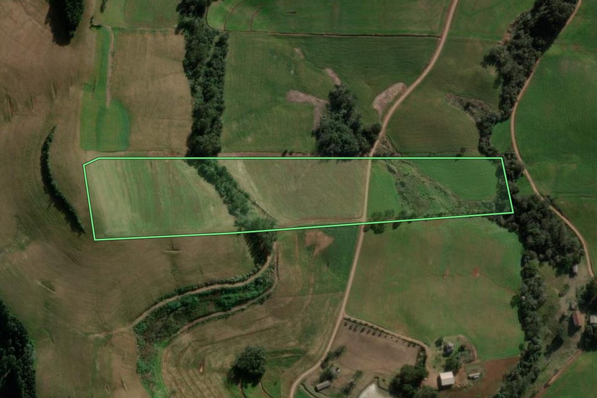 Imagem de satélite do imóvel rural em São Domingos (SC), com o contorno declarado no CAR desenhado por cima.