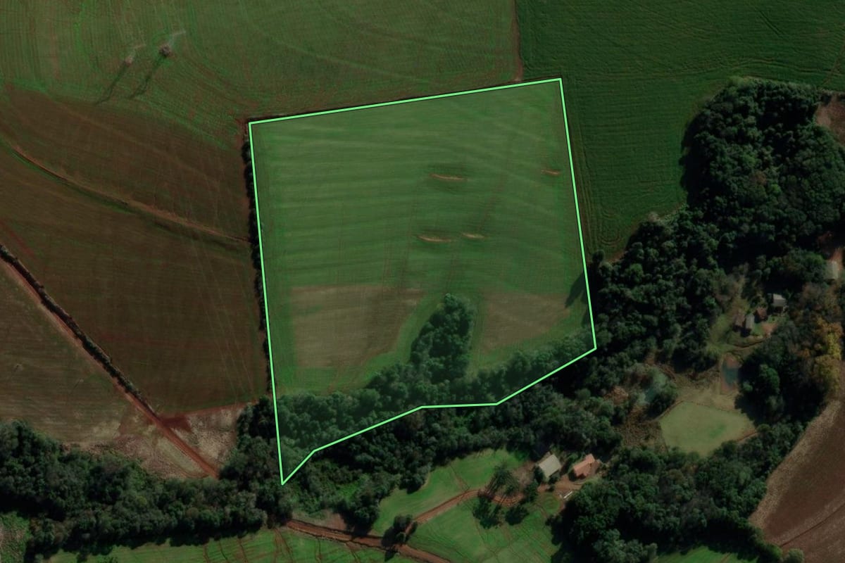 Imagem de satélite do imóvel rural em São Domingos (SC), com o contorno declarado no CAR desenhado por cima.