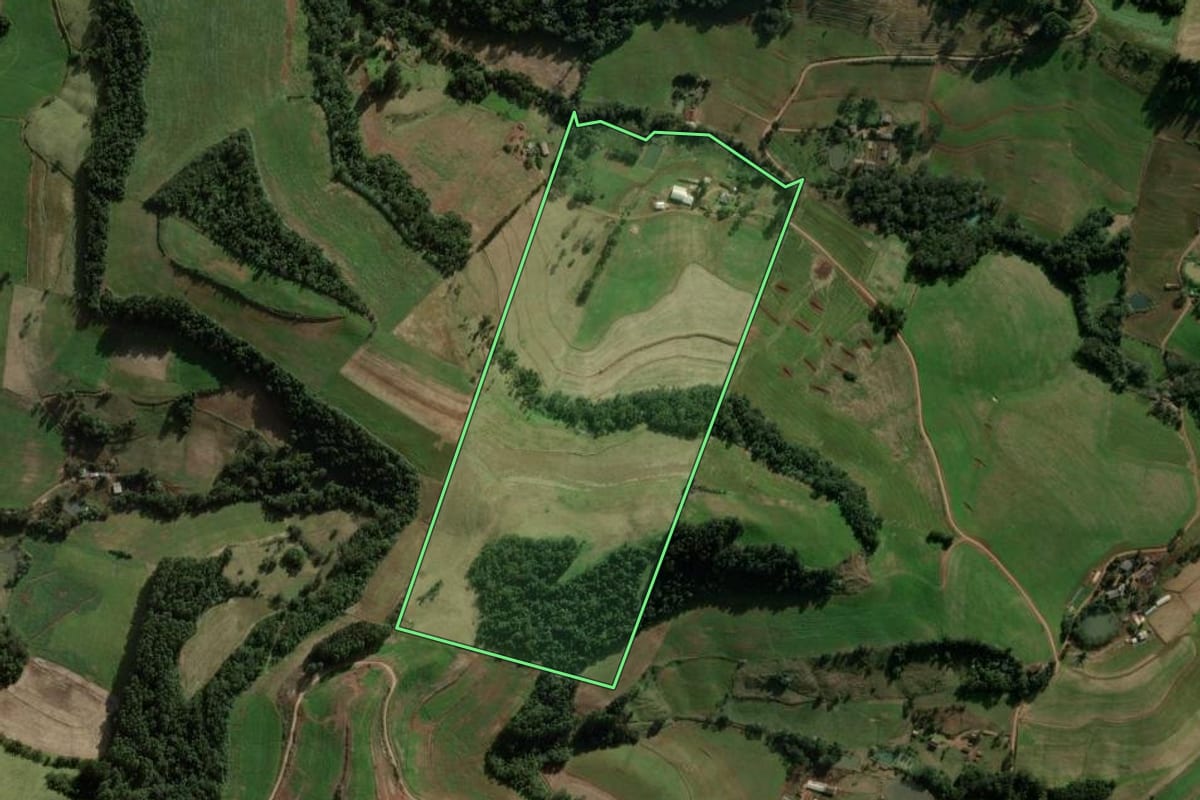 Imagem de satélite do imóvel rural em São Domingos (SC), com o contorno declarado no CAR desenhado por cima.