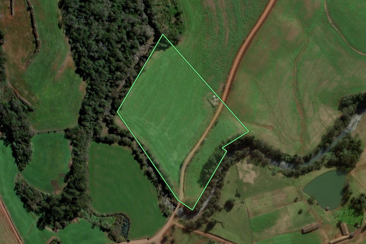 Imagem de satélite do imóvel rural em São Domingos (SC), com o contorno declarado no CAR desenhado por cima.