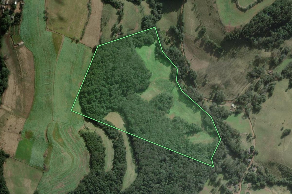 Imagem de satélite do imóvel rural em São Domingos (SC), com o contorno declarado no CAR desenhado por cima.