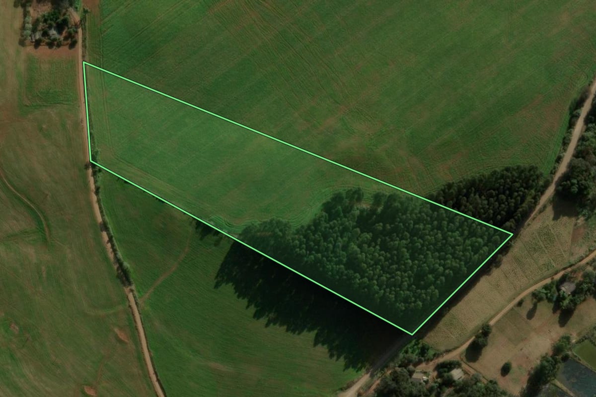 Imagem de satélite do imóvel rural em São Domingos (SC), com o contorno declarado no CAR desenhado por cima.