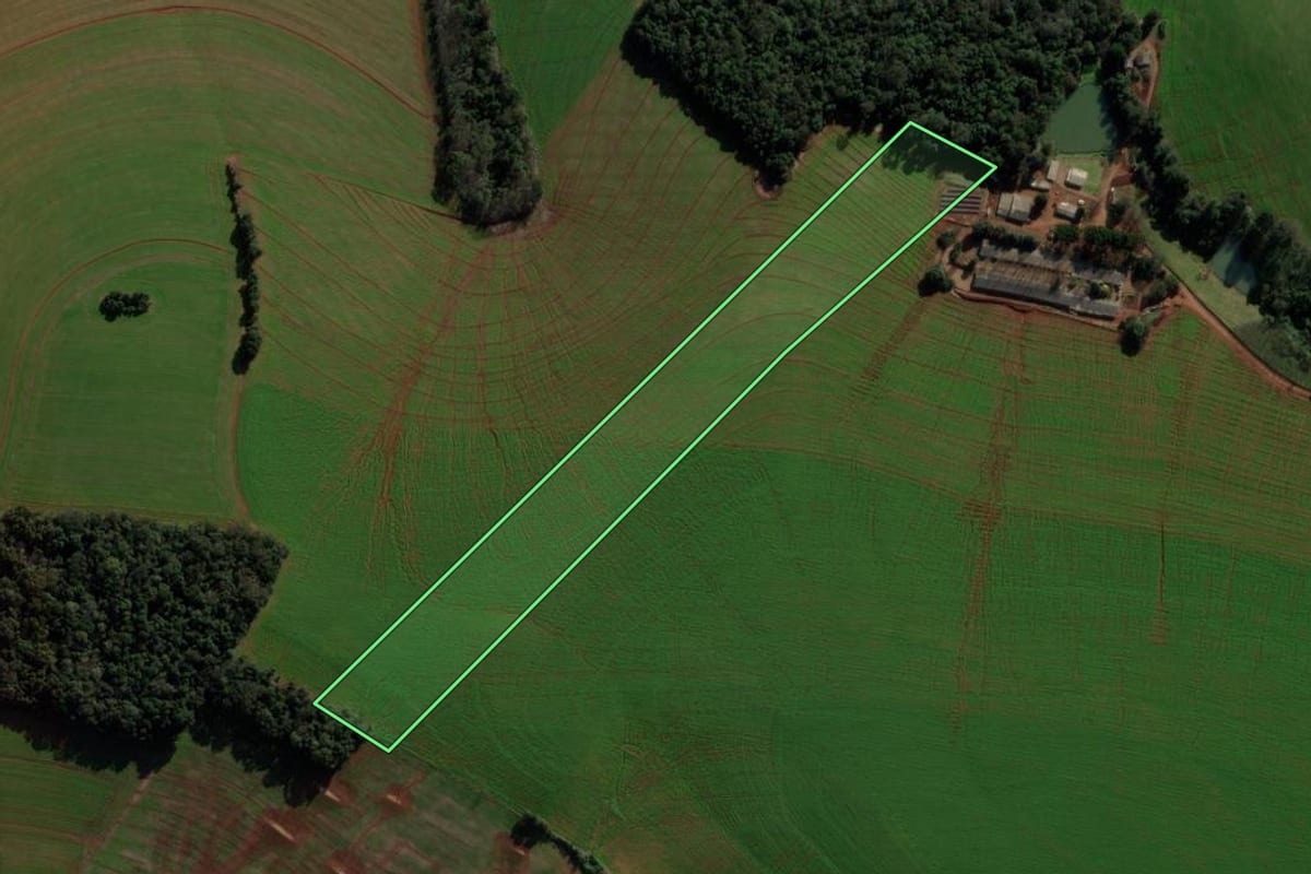 Imagem de satélite do imóvel rural em São Domingos (SC), com o contorno declarado no CAR desenhado por cima.
