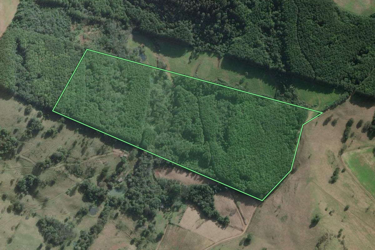 Imagem de satélite do imóvel rural em São Domingos (SC), com o contorno declarado no CAR desenhado por cima.