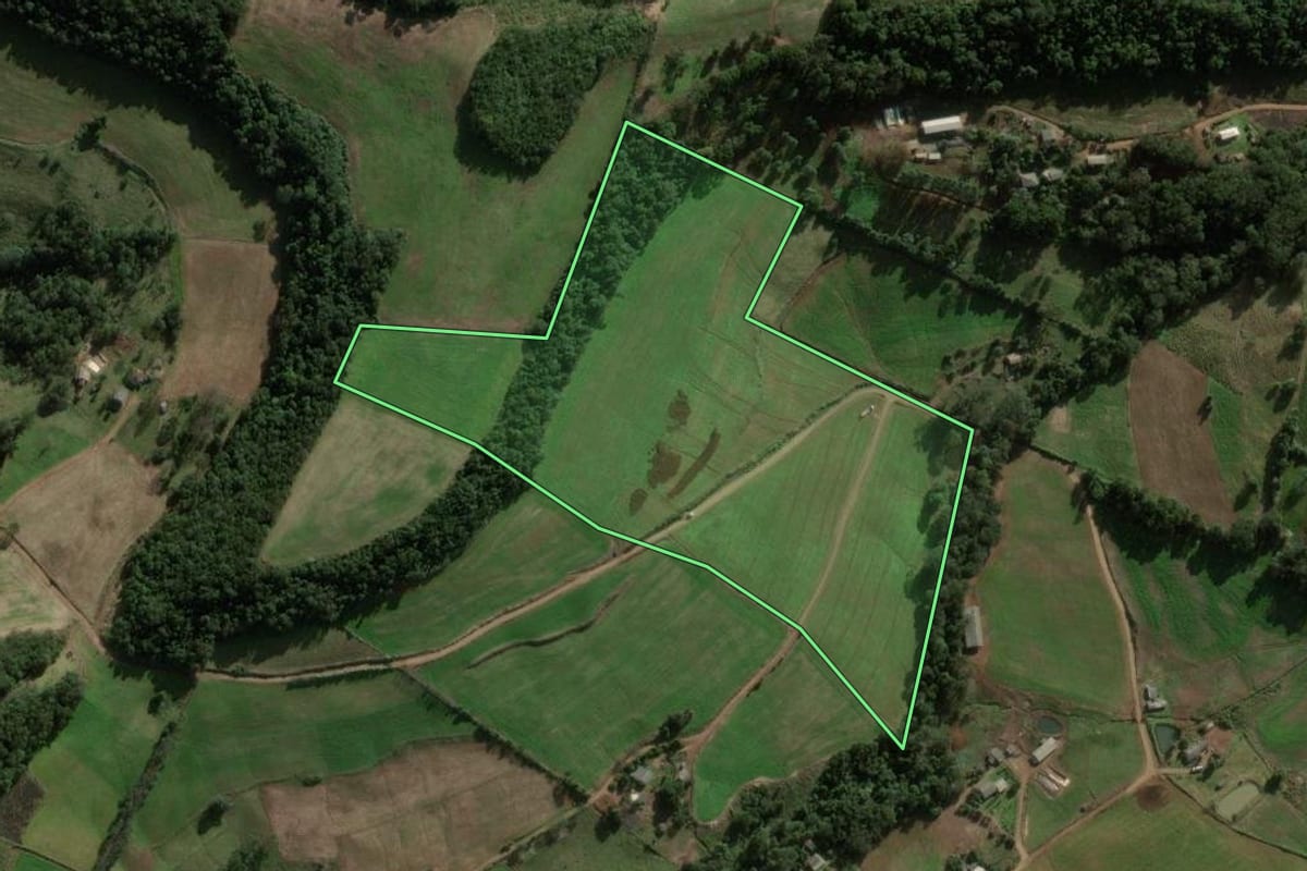 Imagem de satélite do imóvel rural em São Domingos (SC), com o contorno declarado no CAR desenhado por cima.