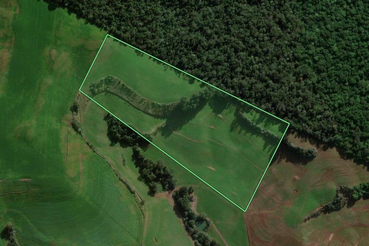 Imagem de satélite do imóvel rural em São Domingos (SC), com o contorno declarado no CAR desenhado por cima.