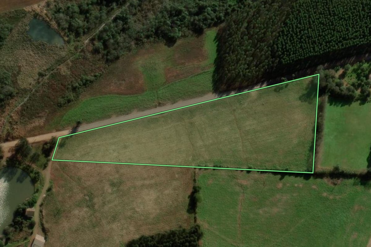 Imagem de satélite do imóvel rural em São Domingos (SC), com o contorno declarado no CAR desenhado por cima.