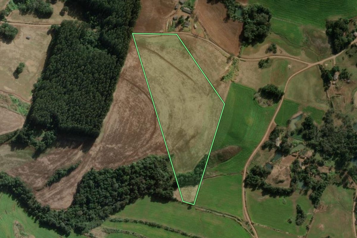 Imagem de satélite do imóvel rural em São Domingos (SC), com o contorno declarado no CAR desenhado por cima.