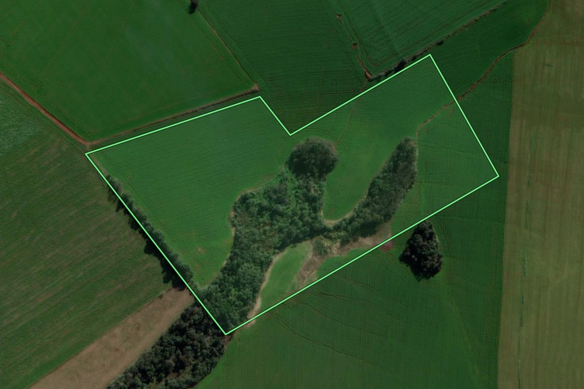Imagem de satélite do imóvel rural em São Domingos (SC), com o contorno declarado no CAR desenhado por cima.