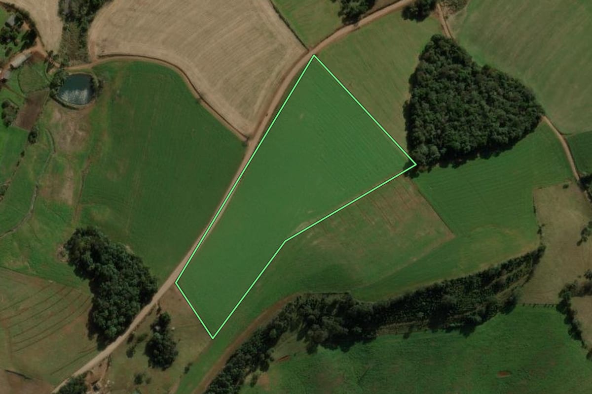 Imagem de satélite do imóvel rural em São Domingos (SC), com o contorno declarado no CAR desenhado por cima.