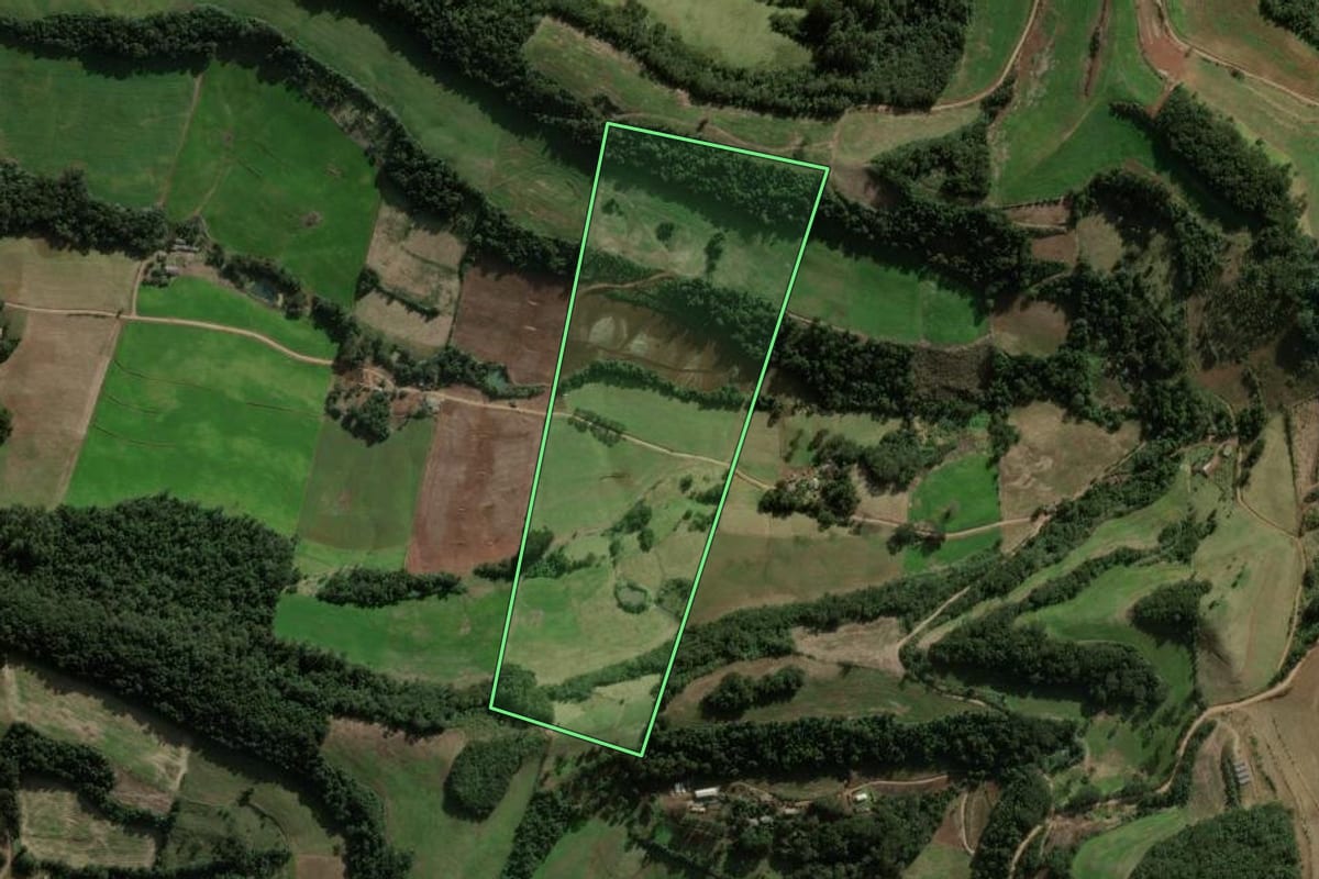 Imagem de satélite do imóvel rural em São Domingos (SC), com o contorno declarado no CAR desenhado por cima.