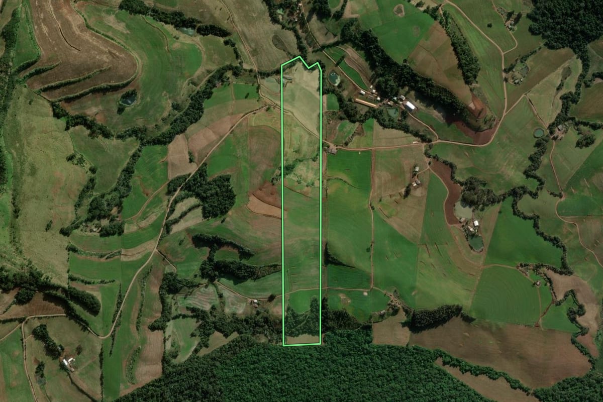 Imagem de satélite do imóvel rural em São Domingos (SC), com o contorno declarado no CAR desenhado por cima.