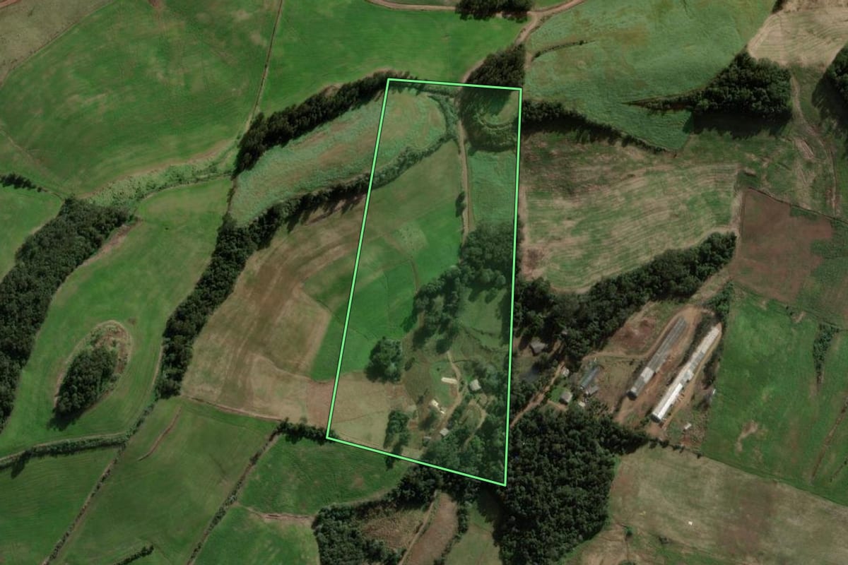Imagem de satélite do imóvel rural em São Domingos (SC), com o contorno declarado no CAR desenhado por cima.