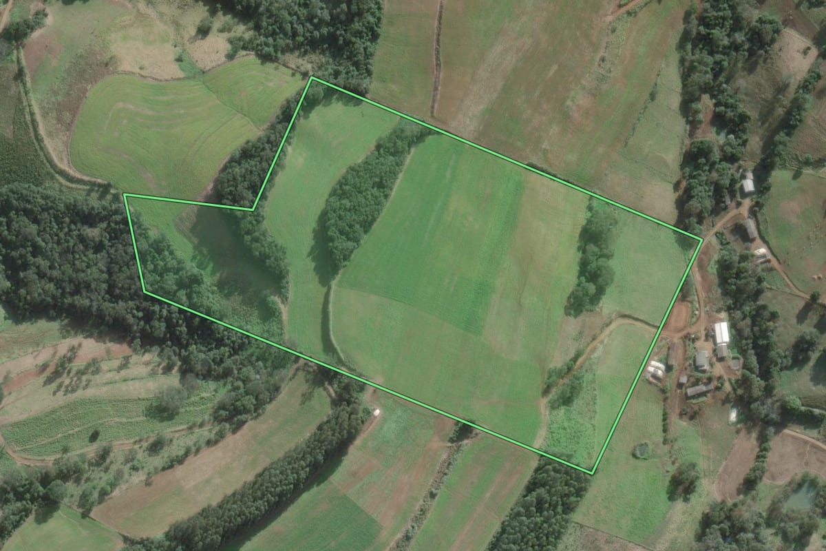Imagem de satélite do imóvel rural em São Domingos (SC), com o contorno declarado no CAR desenhado por cima.
