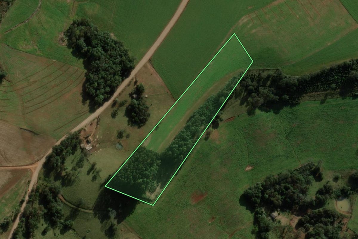 Imagem de satélite do imóvel rural em São Domingos (SC), com o contorno declarado no CAR desenhado por cima.