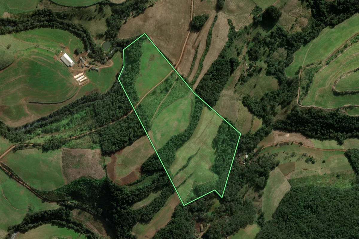 Imagem de satélite do imóvel rural em São Domingos (SC), com o contorno declarado no CAR desenhado por cima.