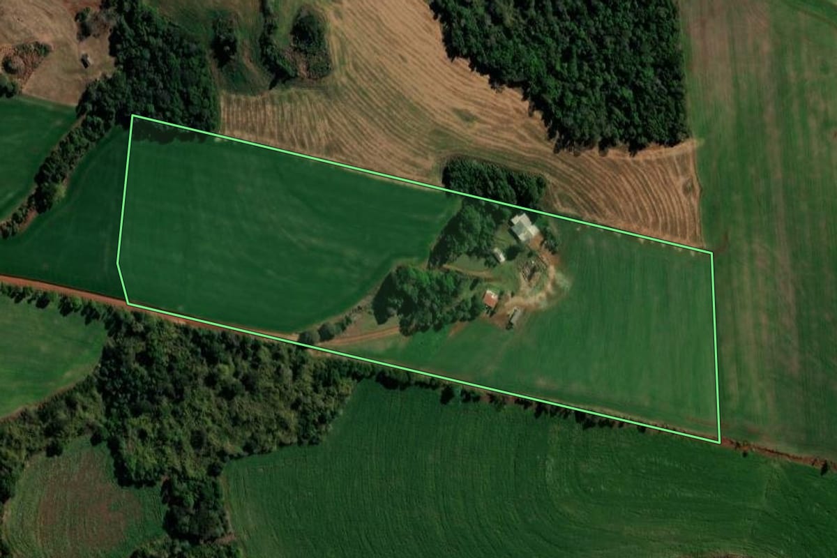 Imagem de satélite do imóvel rural em São Domingos (SC), com o contorno declarado no CAR desenhado por cima.