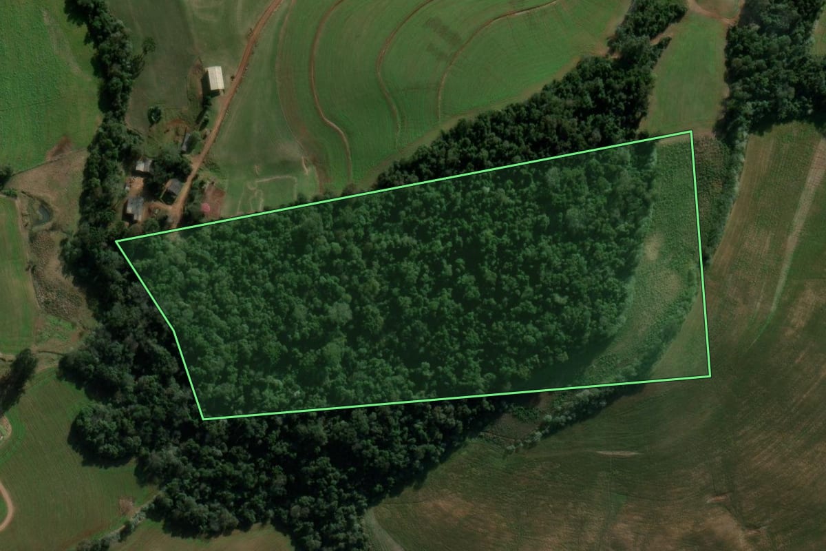 Imagem de satélite do imóvel rural em São Domingos (SC), com o contorno declarado no CAR desenhado por cima.
