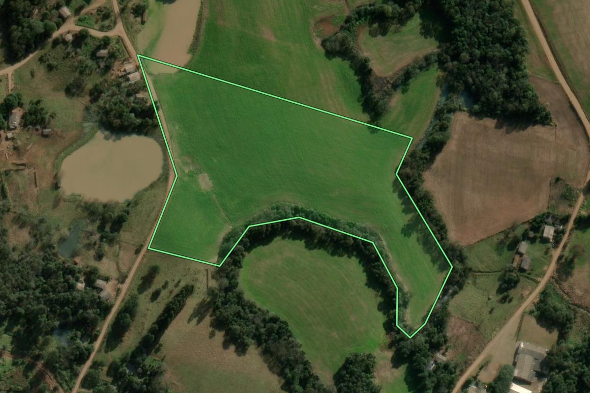 Imagem de satélite do imóvel rural em São Domingos (SC), com o contorno declarado no CAR desenhado por cima.