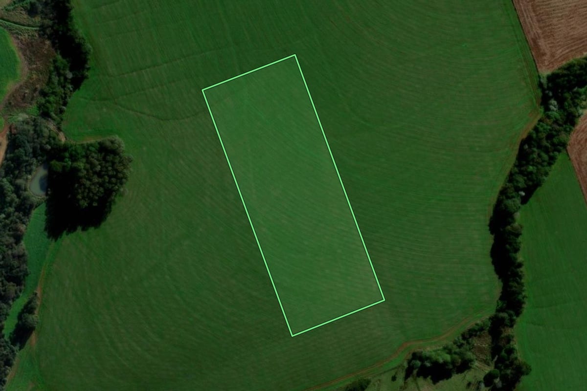 Imagem de satélite do imóvel rural em São Domingos (SC), com o contorno declarado no CAR desenhado por cima.