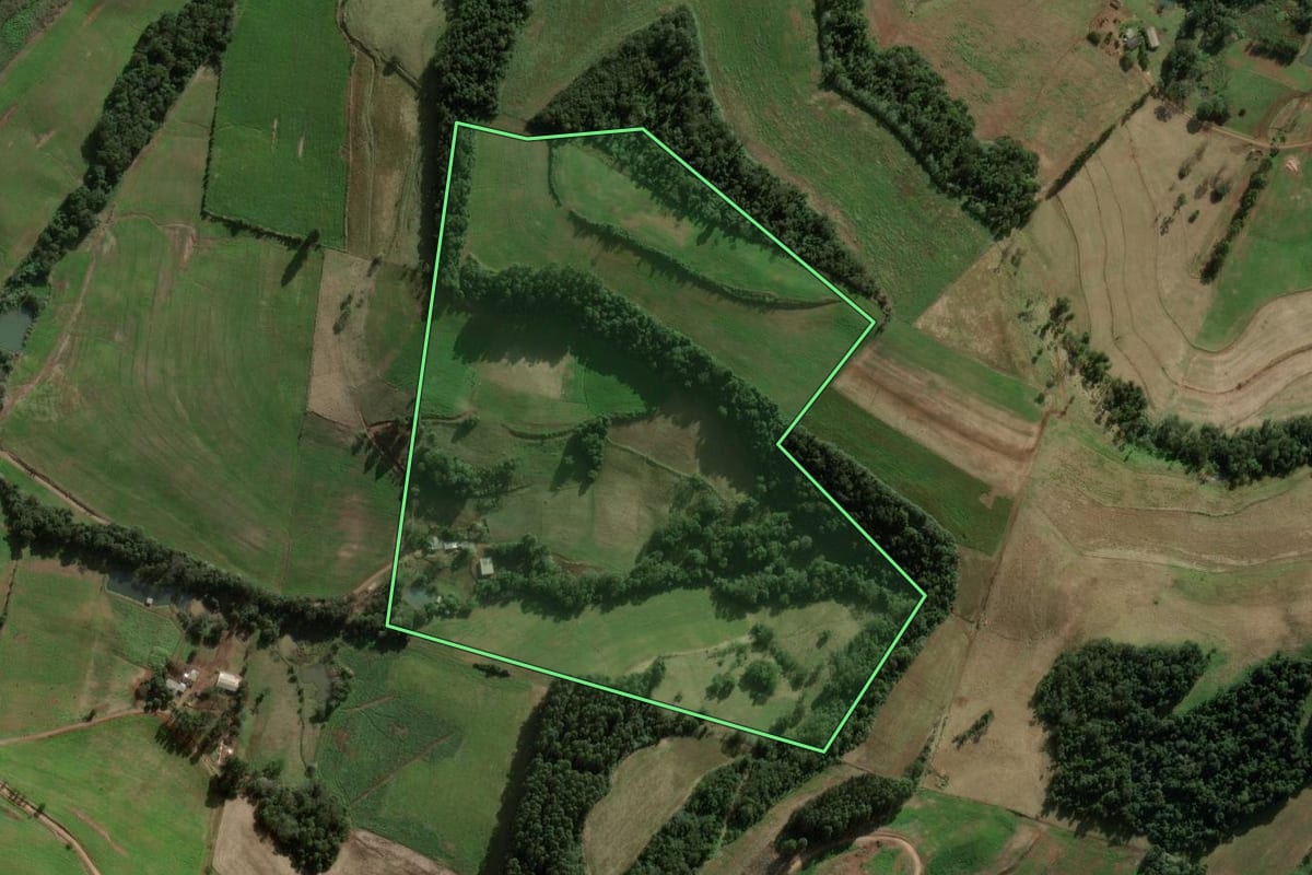Imagem de satélite do imóvel rural em São Domingos (SC), com o contorno declarado no CAR desenhado por cima.