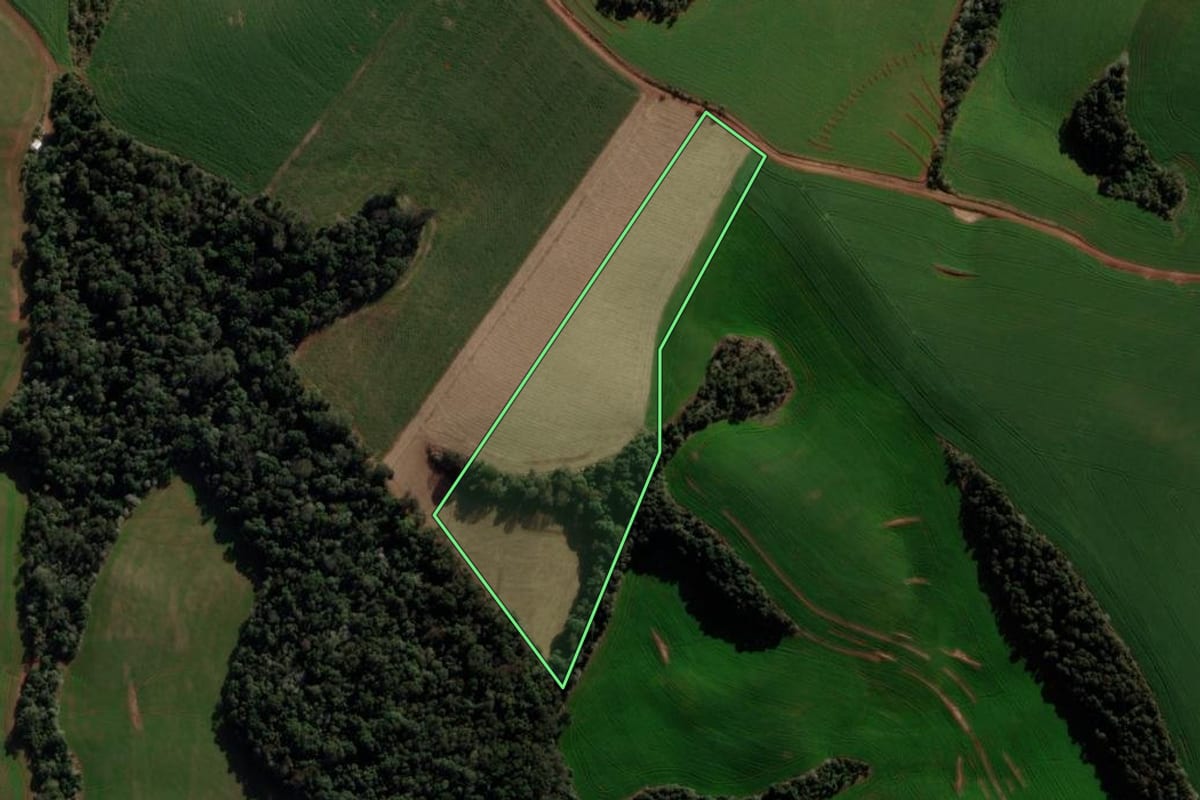 Imagem de satélite do imóvel rural em São Domingos (SC), com o contorno declarado no CAR desenhado por cima.