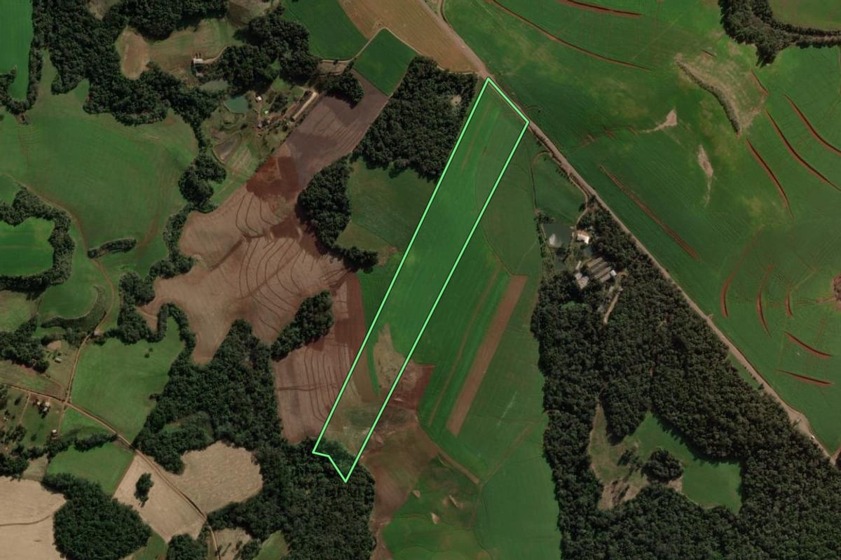 Imagem de satélite do imóvel rural em São Domingos (SC), com o contorno declarado no CAR desenhado por cima.