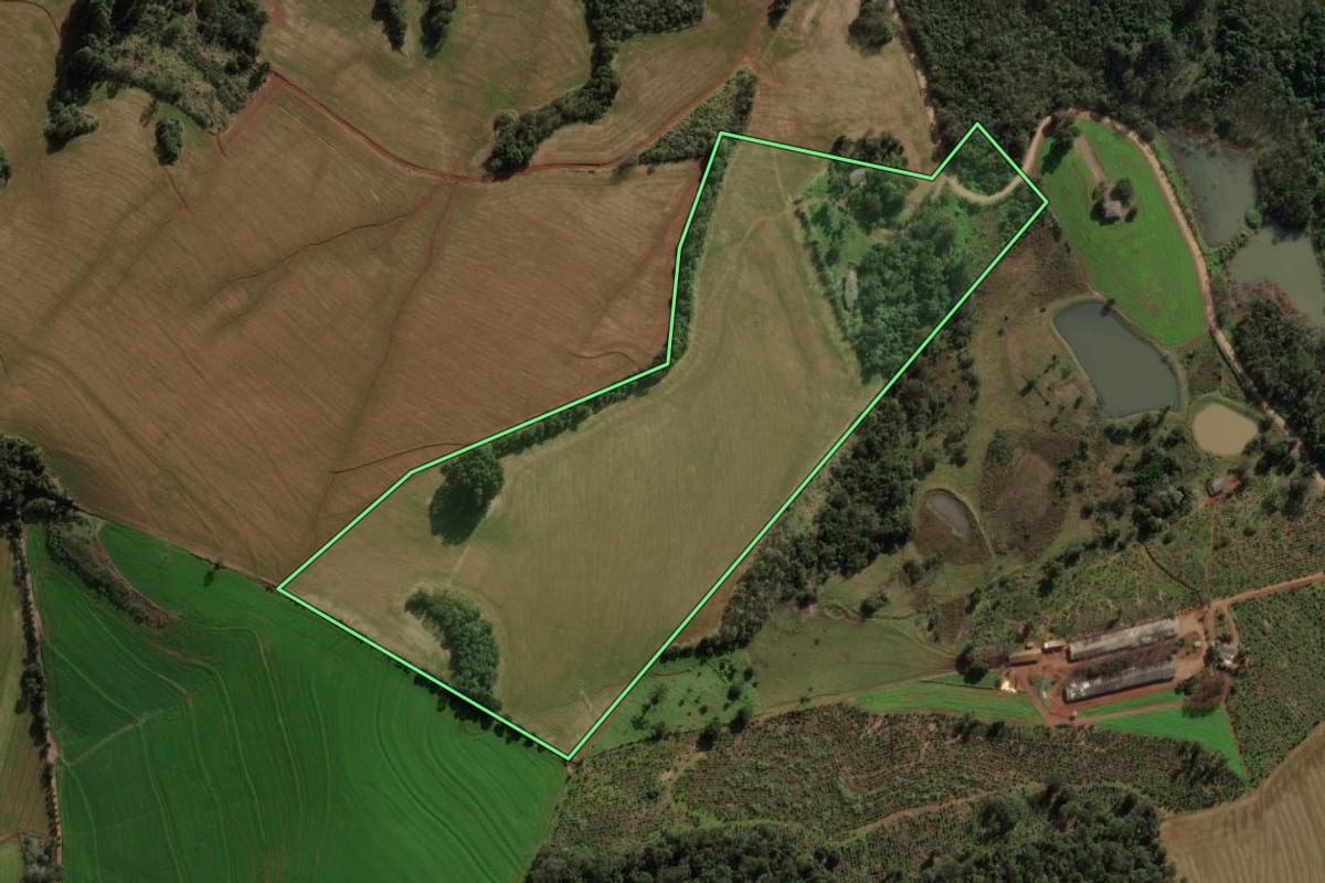 Imagem de satélite do imóvel rural em São Domingos (SC), com o contorno declarado no CAR desenhado por cima.