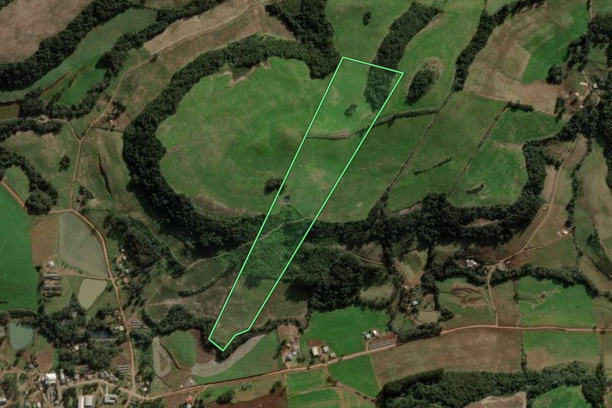 Imagem de satélite do imóvel rural em São Domingos (SC), com o contorno declarado no CAR desenhado por cima.