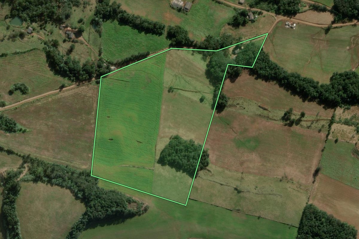 Imagem de satélite do imóvel rural em São Domingos (SC), com o contorno declarado no CAR desenhado por cima.